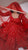 Royal Bloom Red Embroidered Georgette Anarkali Suit Set