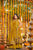 Royal Look Natural Crepe Silk Anarkali Suit